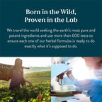 Nature'S Sunshine Lymphatic Drainage Supplement: Reduce Bloat, Reduce Puffiness, Detoxify, Support Lymph Flow, Aids in Recovery . Healthcare Natural Bloating Circulation Herbal Extracts