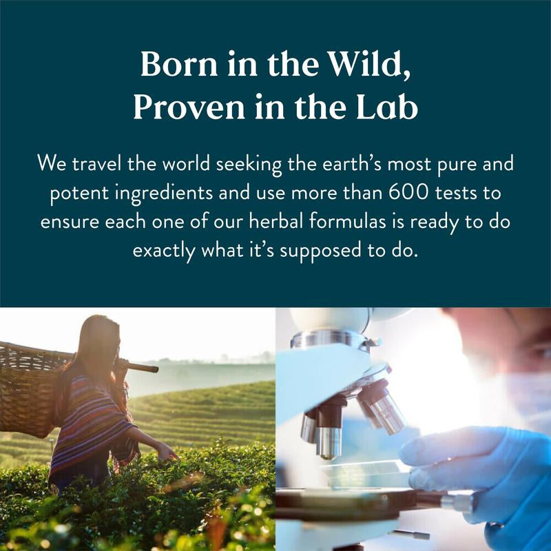 Nature'S Sunshine Lymphatic Drainage Supplement: Reduce Bloat, Reduce Puffiness, Detoxify, Support Lymph Flow, Aids in Recovery . Healthcare Natural Bloating Circulation Herbal Extracts